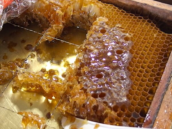 ハマモトガーデンズでは養蜂も行っていて、蜂蜜も食べられます