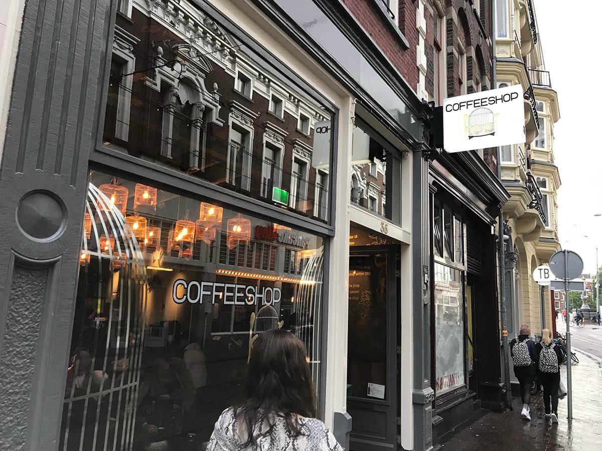アムステルダムのcoffee shopはカフェのよう