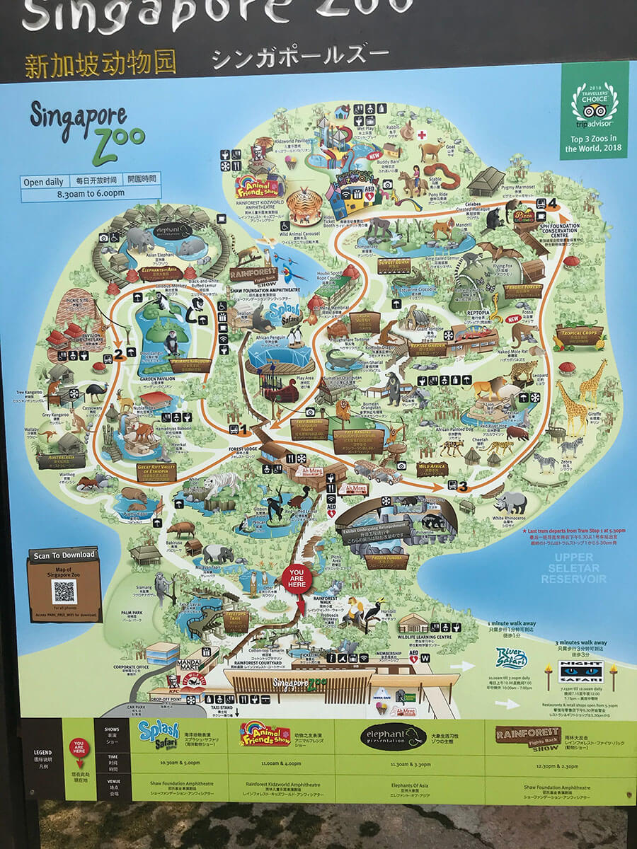 シンガポールズー（Singapore Zoo）の園内マップ