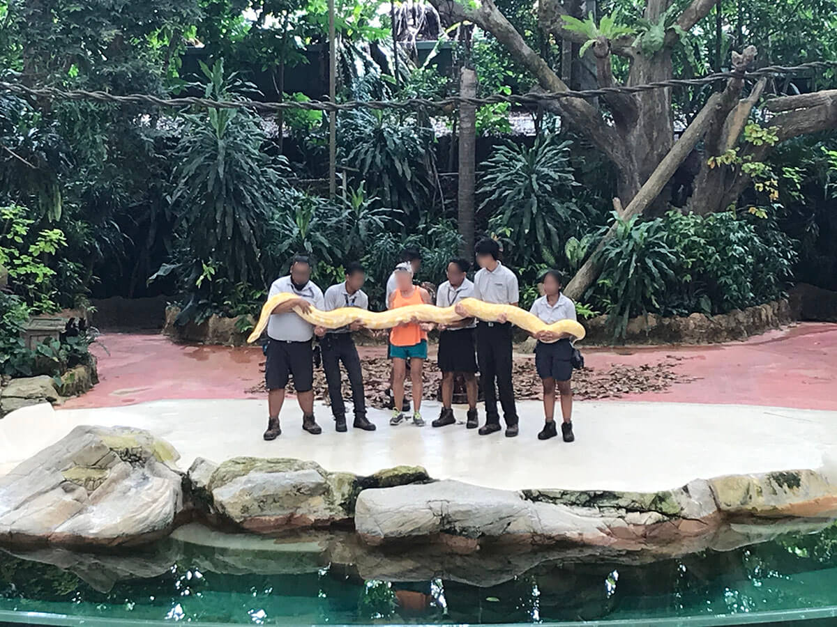 シンガポールズー（Singapore Zoo）の蛇
